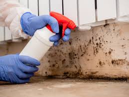 Best Real Estate Mold Inspection  in Forest Hills, MI